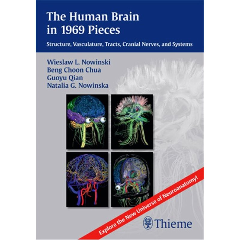 The Human Brain in 1969 Pieces - Structure, Vasculature, Tracts, Cranial Nerves and Systems